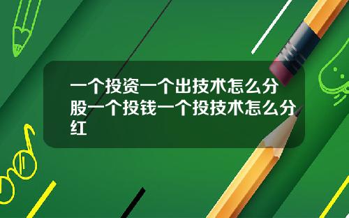 一个投资一个出技术怎么分股一个投钱一个投技术怎么分红