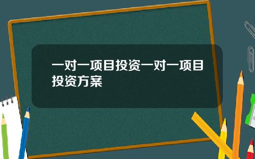 一对一项目投资一对一项目投资方案