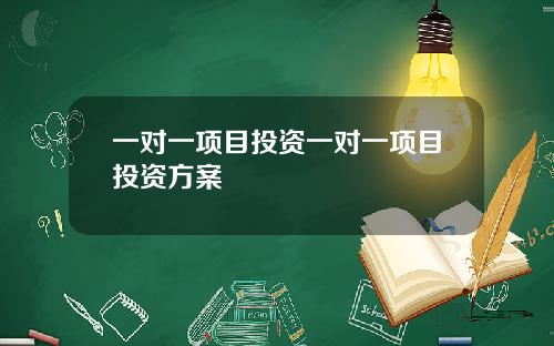 一对一项目投资一对一项目投资方案