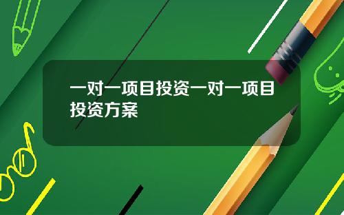 一对一项目投资一对一项目投资方案