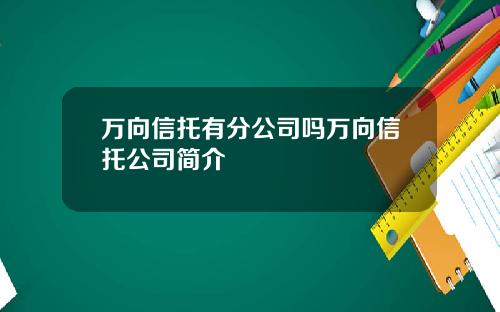 万向信托有分公司吗万向信托公司简介