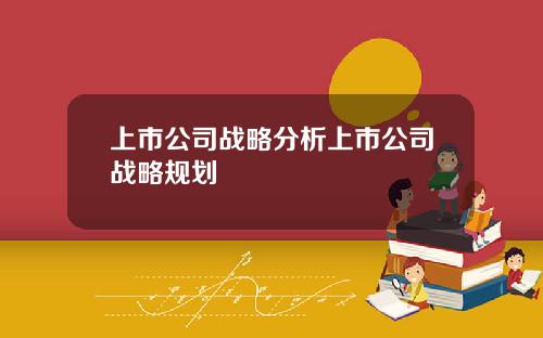 上市公司战略分析上市公司战略规划