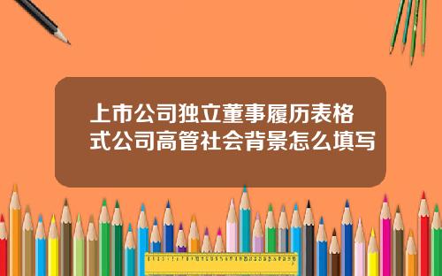 上市公司独立董事履历表格式公司高管社会背景怎么填写
