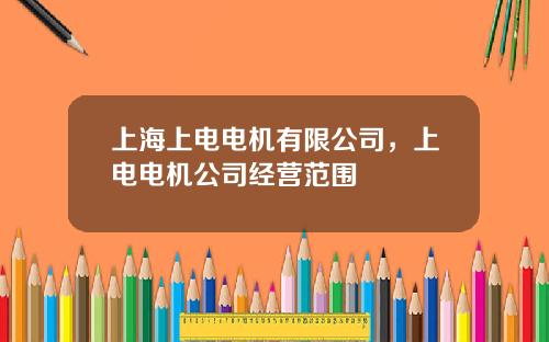 上海上电电机有限公司，上电电机公司经营范围
