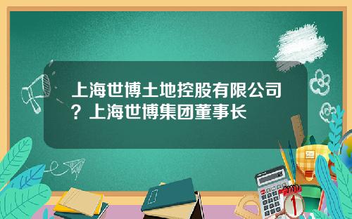 上海世博土地控股有限公司？上海世博集团董事长
