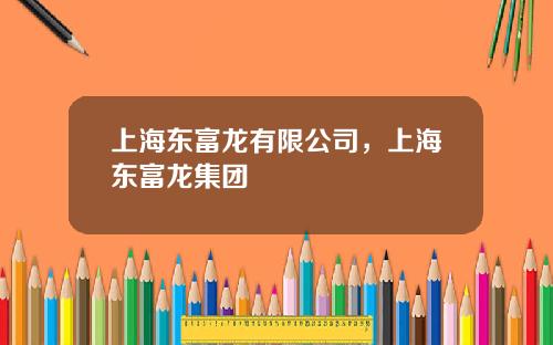 上海东富龙有限公司，上海东富龙集团