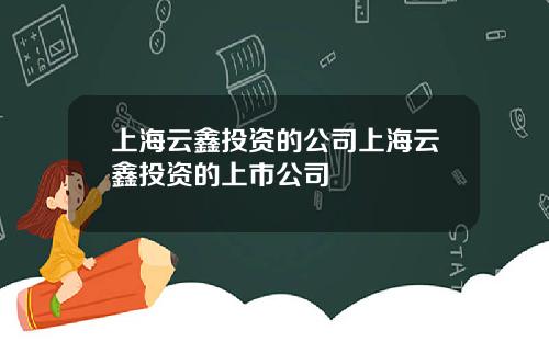 上海云鑫投资的公司上海云鑫投资的上市公司