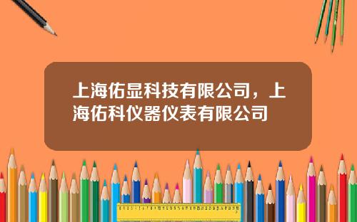 上海佑显科技有限公司，上海佑科仪器仪表有限公司