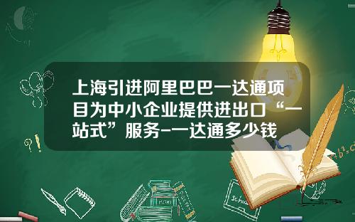 上海引进阿里巴巴一达通项目为中小企业提供进出口“一站式”服务-一达通多少钱