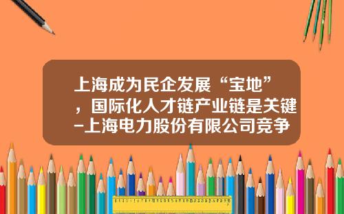 上海成为民企发展“宝地”，国际化人才链产业链是关键-上海电力股份有限公司竞争力