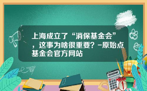 上海成立了“消保基金会”，这事为啥很重要？-原始点基金会官方网站