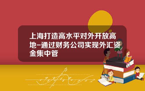 上海打造高水平对外开放高地-通过财务公司实现外汇资金集中管