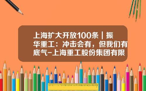 上海扩大开放100条｜振华重工：冲击会有，但我们有底气-上海重工股份集团有限公司