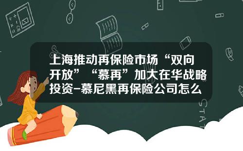 上海推动再保险市场“双向开放”“慕再”加大在华战略投资-慕尼黑再保险公司怎么样