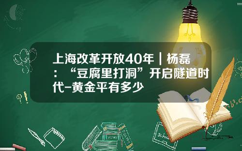 上海改革开放40年｜杨磊：“豆腐里打洞”开启隧道时代-黄金平有多少