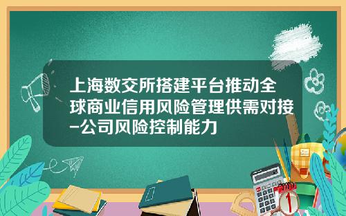上海数交所搭建平台推动全球商业信用风险管理供需对接-公司风险控制能力