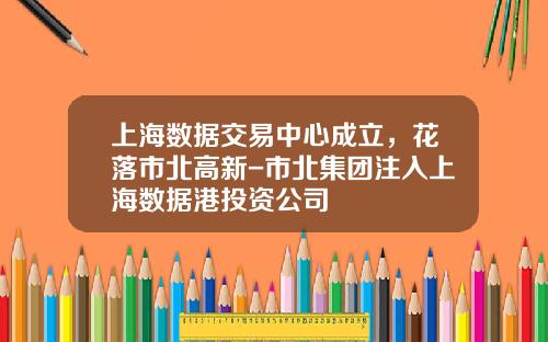 上海数据交易中心成立，花落市北高新-市北集团注入上海数据港投资公司