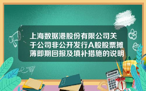 上海数据港股份有限公司关于公司非公开发行A股股票摊薄即期回报及填补措施的说明-上海数据港有限公司