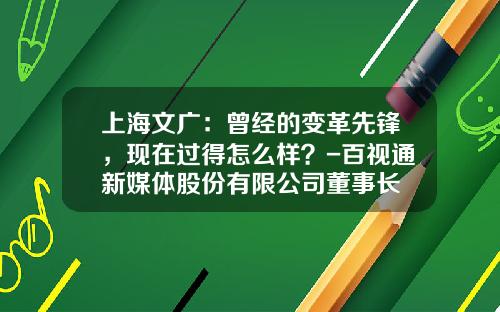 上海文广：曾经的变革先锋，现在过得怎么样？-百视通新媒体股份有限公司董事长