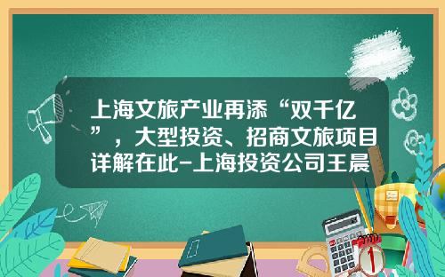 上海文旅产业再添“双千亿”，大型投资、招商文旅项目详解在此-上海投资公司王晨照片
