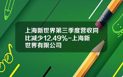 上海新世界第三季度营收同比减少12.49%-上海新世界有限公司