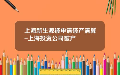 上海新生源被申请破产清算-上海投资公司破产