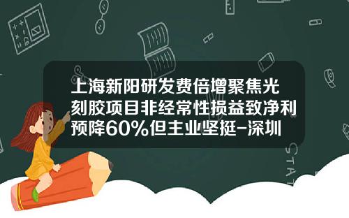 上海新阳研发费倍增聚焦光刻胶项目非经常性损益致净利预降60%但主业坚挺-深圳市新阳电子机械有限公司
