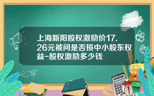 上海新阳股权激励价17.26元被问是否损中小股东权益-股权激励多少钱