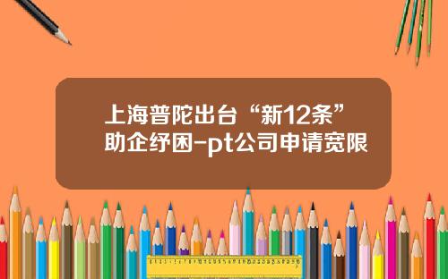 上海普陀出台“新12条”助企纾困-pt公司申请宽限