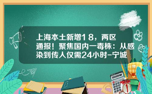 上海本土新增1+8，两区通报！聚焦国内一毒株：从感染到传人仅需24小时-宁城资讯股票行情最新价格