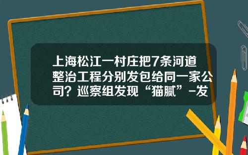 上海松江一村庄把7条河道整治工程分别发包给同一家公司？巡察组发现“猫腻”-发包给子公司