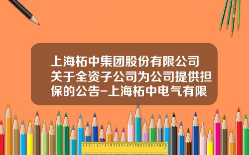 上海柘中集团股份有限公司关于全资子公司为公司提供担保的公告-上海柘中电气有限公司