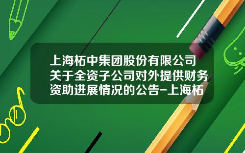 上海柘中集团股份有限公司关于全资子公司对外提供财务资助进展情况的公告-上海柘中电气有限公司