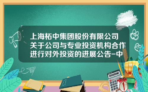 上海柘中集团股份有限公司关于公司与专业投资机构合作进行对外投资的进展公告-中德产业基金