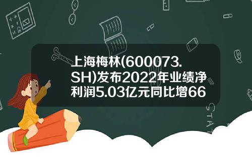 上海梅林(600073.SH)发布2022年业绩净利润5.03亿元同比增66%每10股派1.61元-上海梅林股份公司