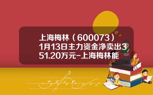 上海梅林（600073）1月13日主力资金净卖出351.20万元-上海梅林能涨到多少