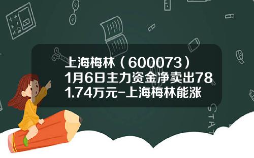 上海梅林（600073）1月6日主力资金净卖出781.74万元-上海梅林能涨到多少
