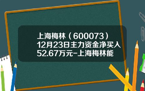 上海梅林（600073）12月23日主力资金净买入52.67万元-上海梅林能涨到多少