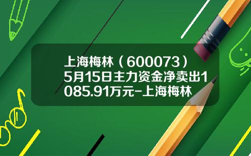 上海梅林（600073）5月15日主力资金净卖出1085.91万元-上海梅林能涨到多少