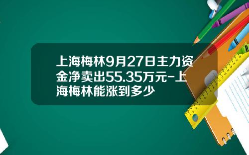 上海梅林9月27日主力资金净卖出55.35万元-上海梅林能涨到多少