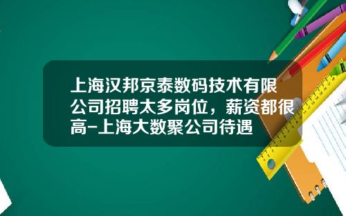 上海汉邦京泰数码技术有限公司招聘太多岗位，薪资都很高-上海大数聚公司待遇