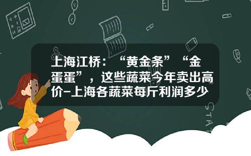 上海江桥：“黄金条”“金蛋蛋”，这些蔬菜今年卖出高价-上海各蔬菜每斤利润多少