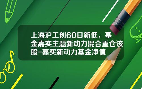 上海沪工创60日新低，基金嘉实主题新动力混合重仓该股-嘉实新动力基金净值