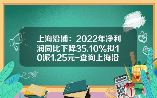 上海沿浦：2022年净利润同比下降35.10%拟10派1.25元-查询上海沿浦股票资讯