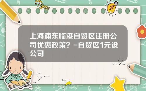 上海浦东临港自贸区注册公司优惠政策？-自贸区1元设公司