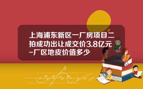 上海浦东新区一厂房项目二拍成功出让成交价3.8亿元-厂区地皮价值多少