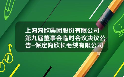 上海海欣集团股份有限公司第九届董事会临时会议决议公告-保定海欣长毛绒有限公司