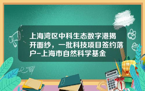 上海湾区中科生态数字港揭开面纱，一批科技项目签约落户-上海市自然科学基金