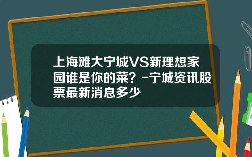 上海滩大宁城VS新理想家园谁是你的菜？-宁城资讯股票最新消息多少