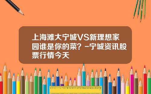 上海滩大宁城VS新理想家园谁是你的菜？-宁城资讯股票行情今天